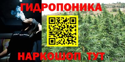 дурь Шахты
