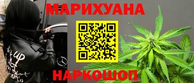 шишки Шебекино